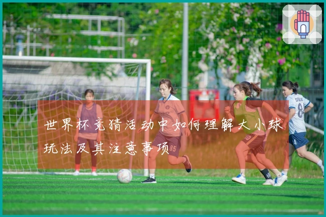 世界杯竞猜活动中如何理解大小球玩法及其注意事项
