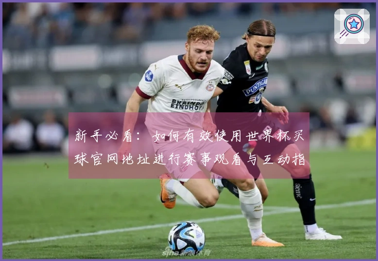 新手必看：如何有效使用世界杯买球官网地址进行赛事观看与互动指南