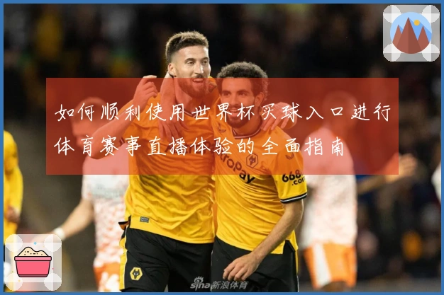 如何顺利使用世界杯买球入口进行体育赛事直播体验的全面指南