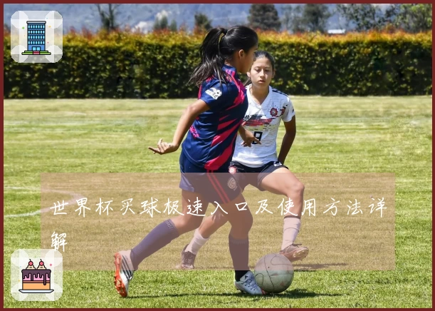 世界杯买球极速入口及使用方法详解