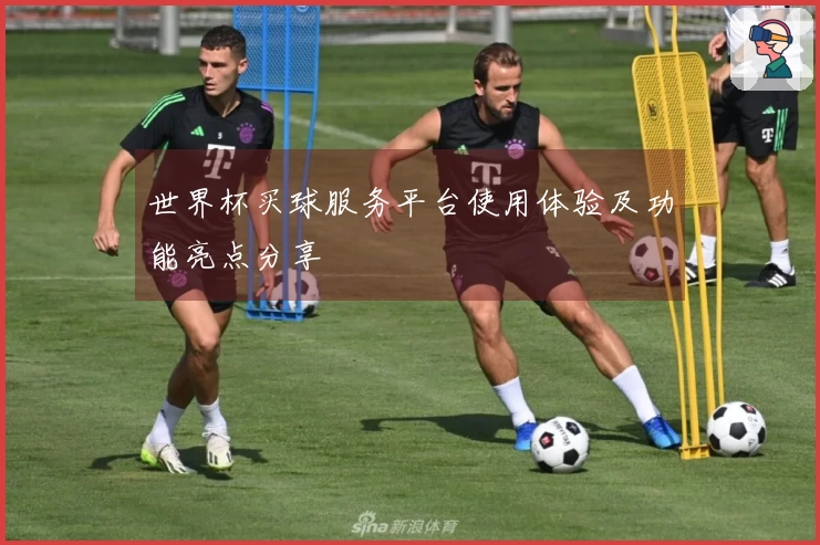 世界杯买球服务平台使用体验及功能亮点分享