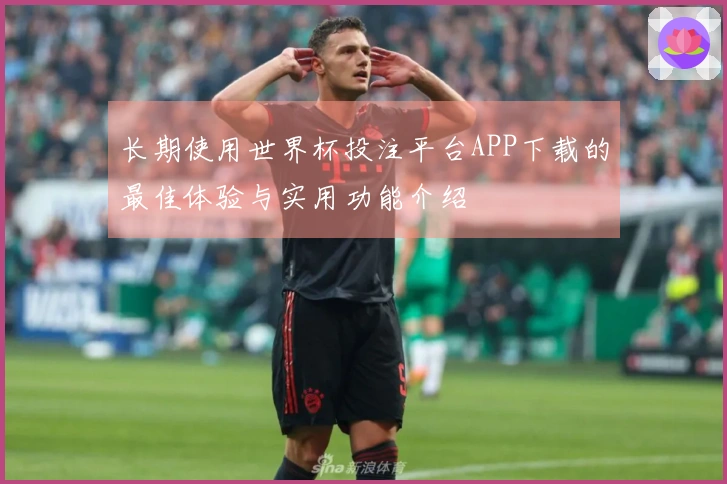 长期使用世界杯投注平台APP下载的最佳体验与实用功能介绍