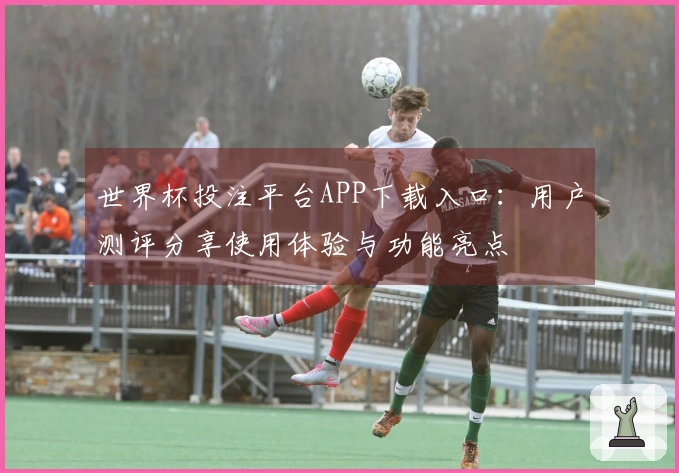 世界杯投注平台APP下载入口：用户测评分享使用体验与功能亮点