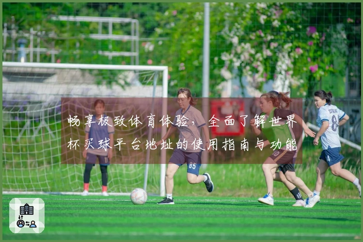 畅享极致体育体验，全面了解世界杯买球平台地址的使用指南与功能介绍