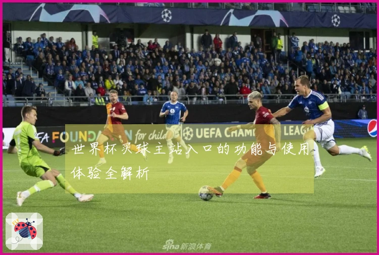 世界杯买球主站入口的功能与使用体验全解析