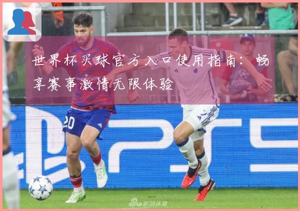 世界杯买球官方入口使用指南：畅享赛事激情无限体验