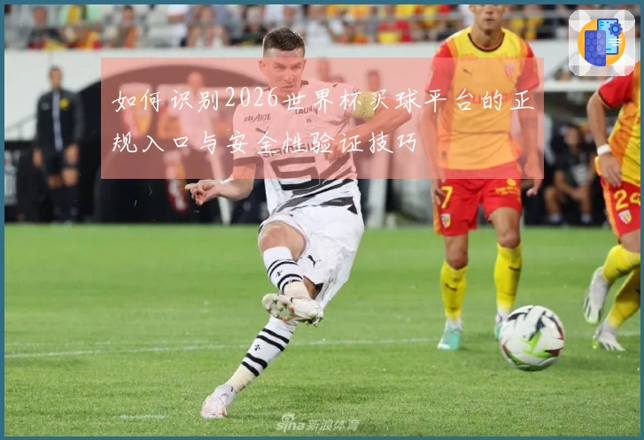 如何识别2026世界杯买球平台的正规入口与安全性验证技巧