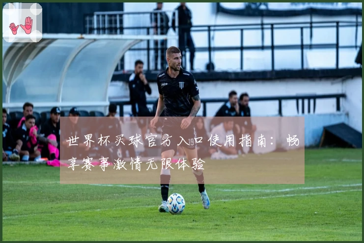 世界杯买球官方入口使用指南：畅享赛事激情无限体验