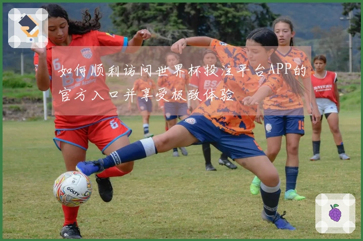 如何顺利访问世界杯投注平台APP的官方入口并享受极致体验