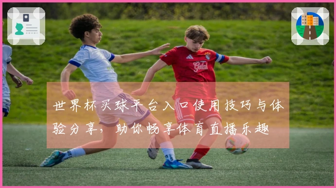 世界杯买球平台入口使用技巧与体验分享，助你畅享体育直播乐趣